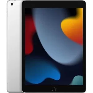 Apple iPad 10,2" (2021) Wi-Fi + Cellular 256 ГБ, Silver (серебристый)