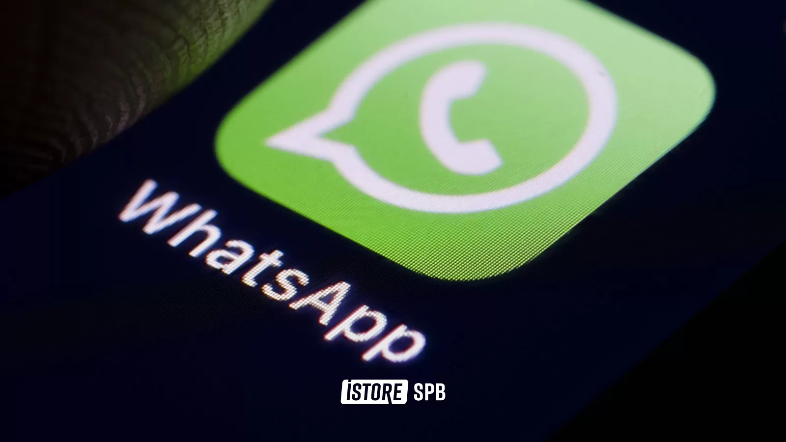 WhatsApp Plus официально запускает тестирование платной подписки в апреле 2026 — что дает и стоит ли платить